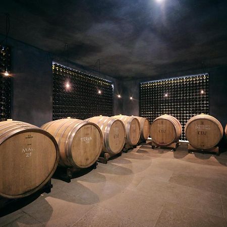 Vilanija Winery Cuj Bed & Breakfast المظهر الخارجي الصورة
